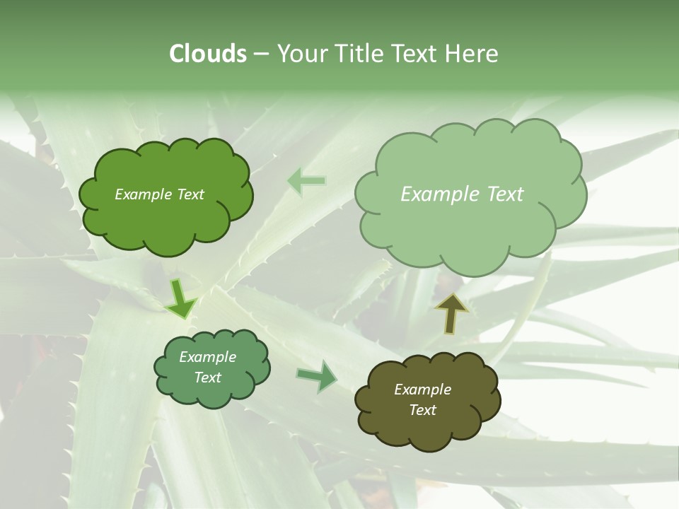 Amusing Farcical Executive PowerPoint Template