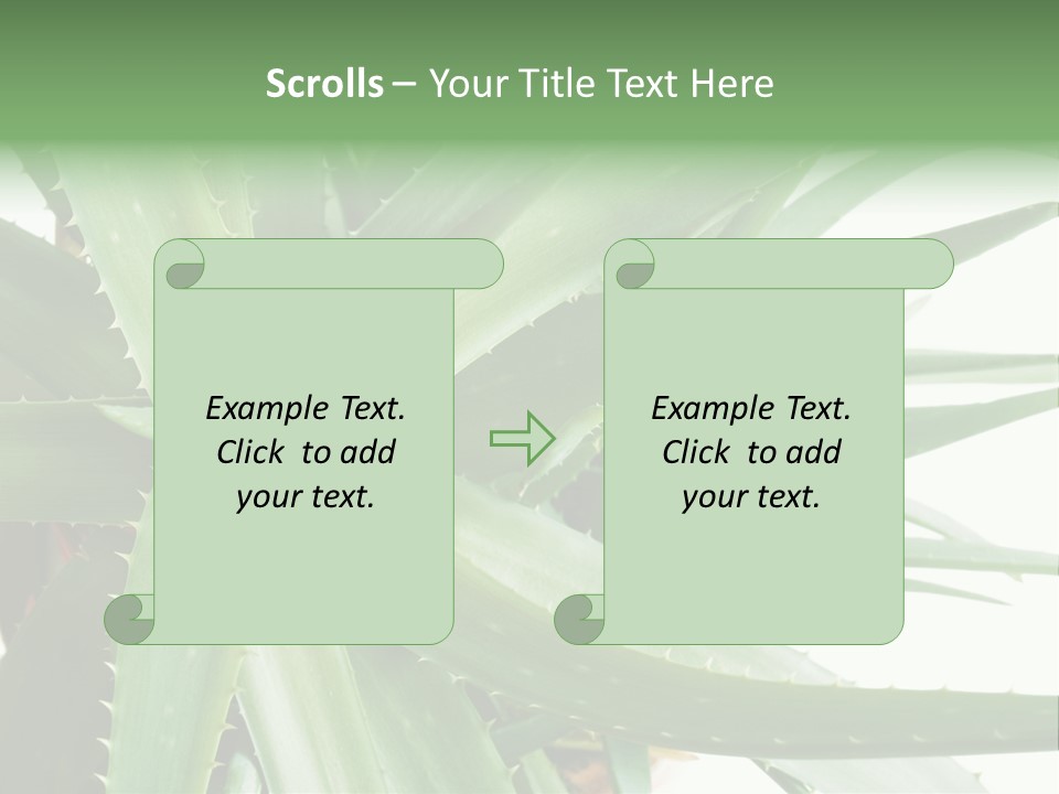 Amusing Farcical Executive PowerPoint Template