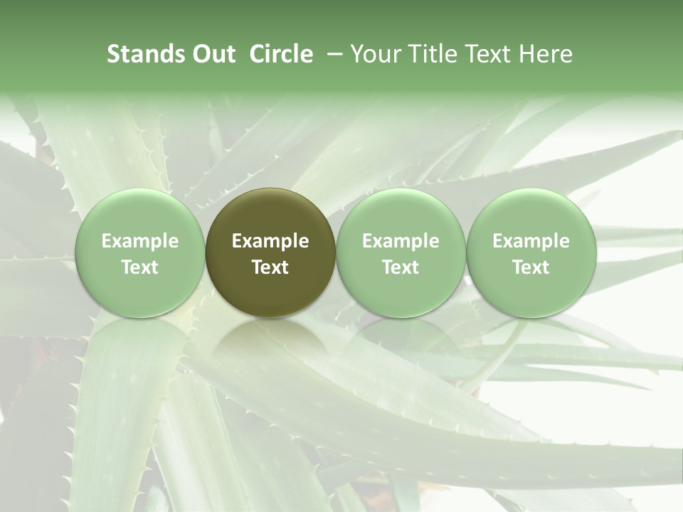 Amusing Farcical Executive PowerPoint Template