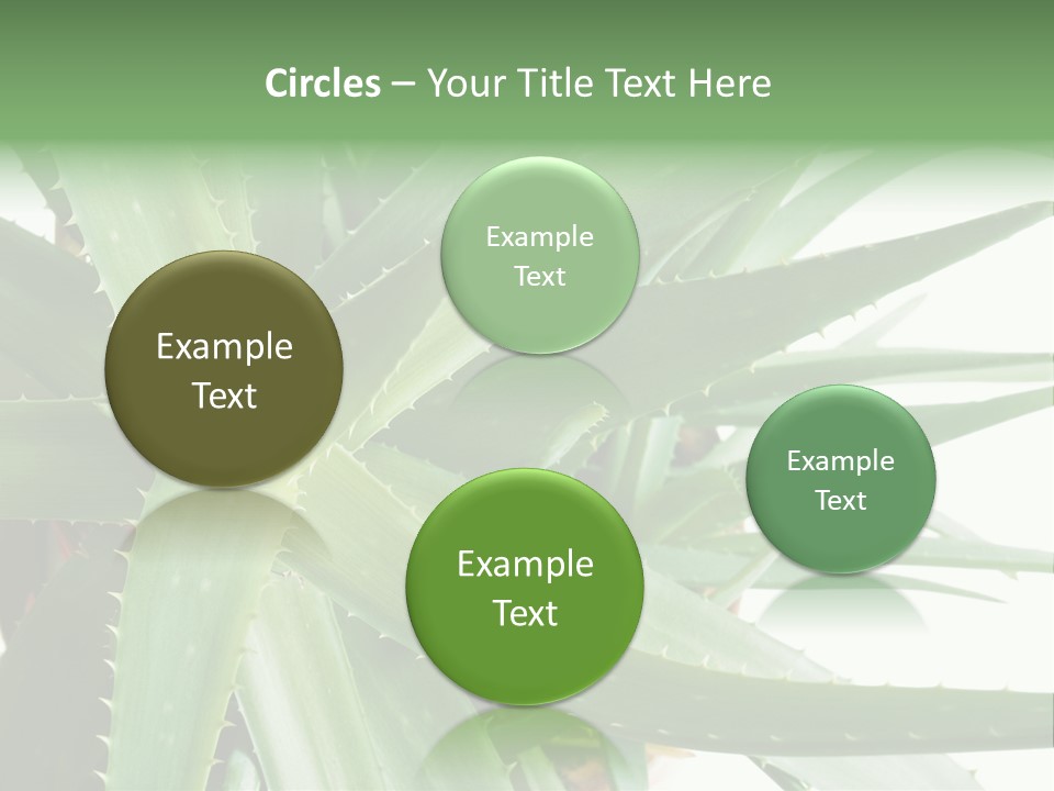 Amusing Farcical Executive PowerPoint Template