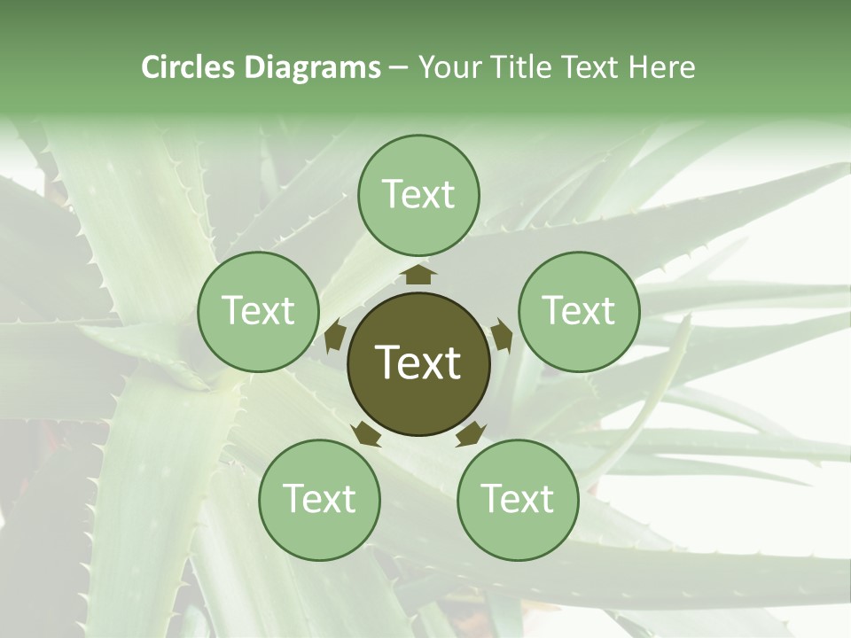 Amusing Farcical Executive PowerPoint Template