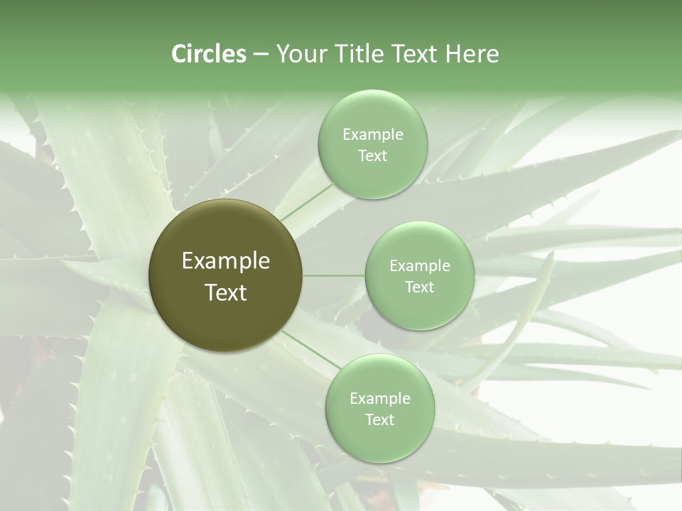 Amusing Farcical Executive PowerPoint Template