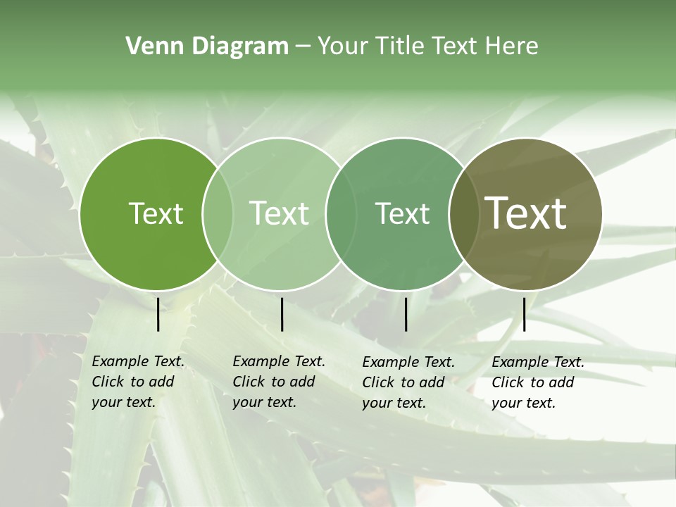Amusing Farcical Executive PowerPoint Template