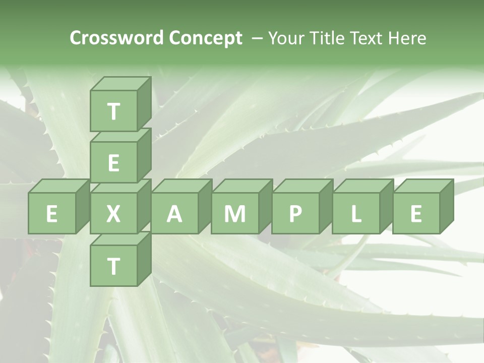 Amusing Farcical Executive PowerPoint Template