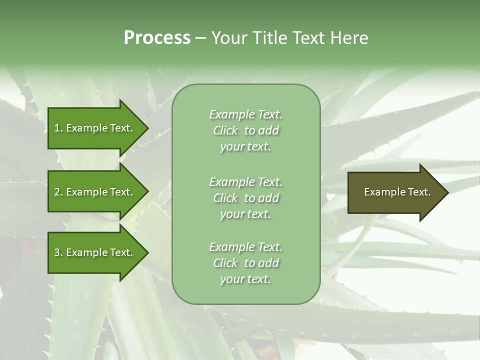 Amusing Farcical Executive PowerPoint Template