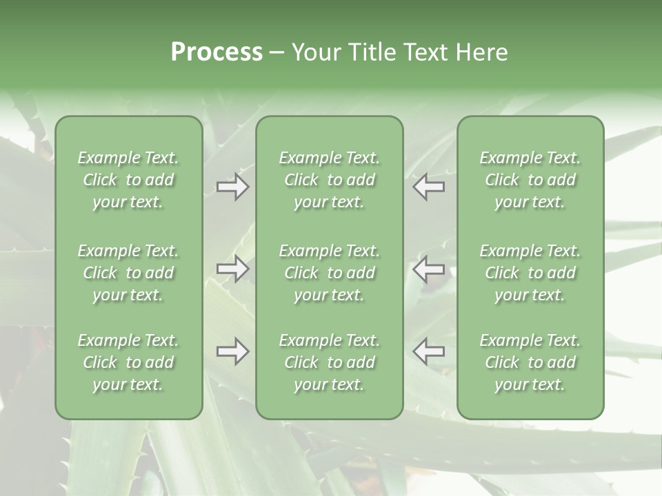 Amusing Farcical Executive PowerPoint Template