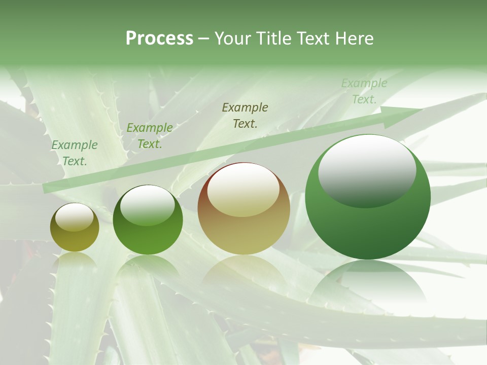 Amusing Farcical Executive PowerPoint Template