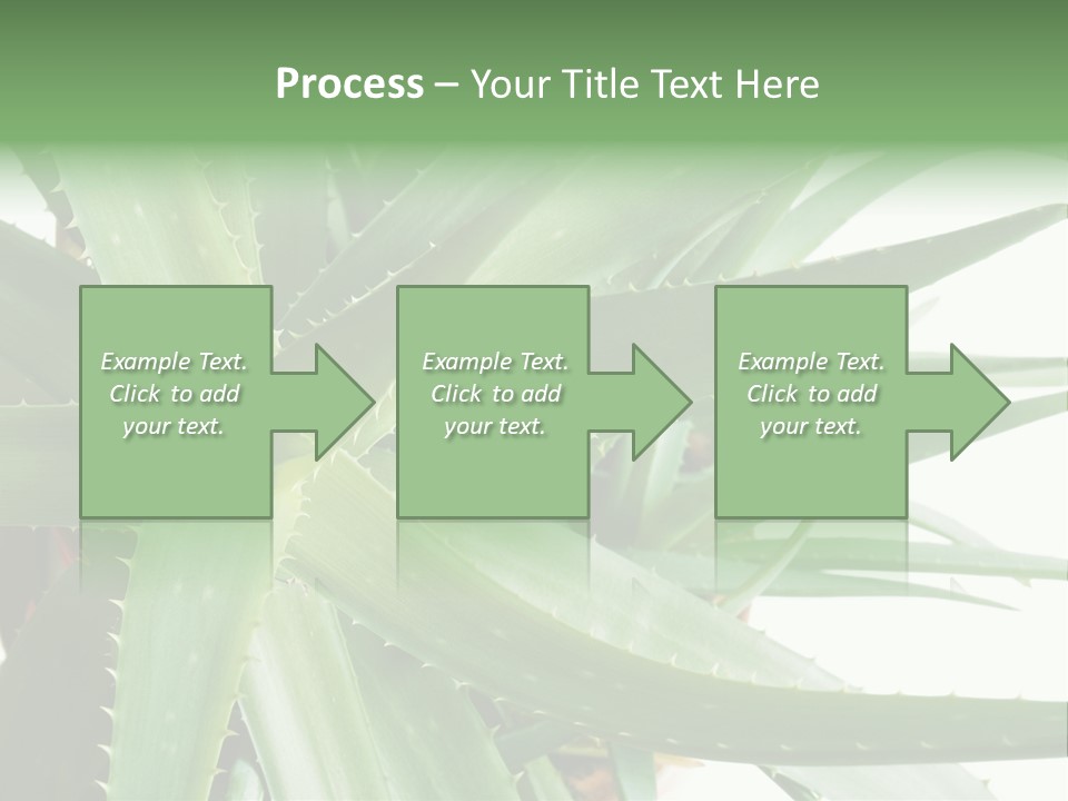 Amusing Farcical Executive PowerPoint Template