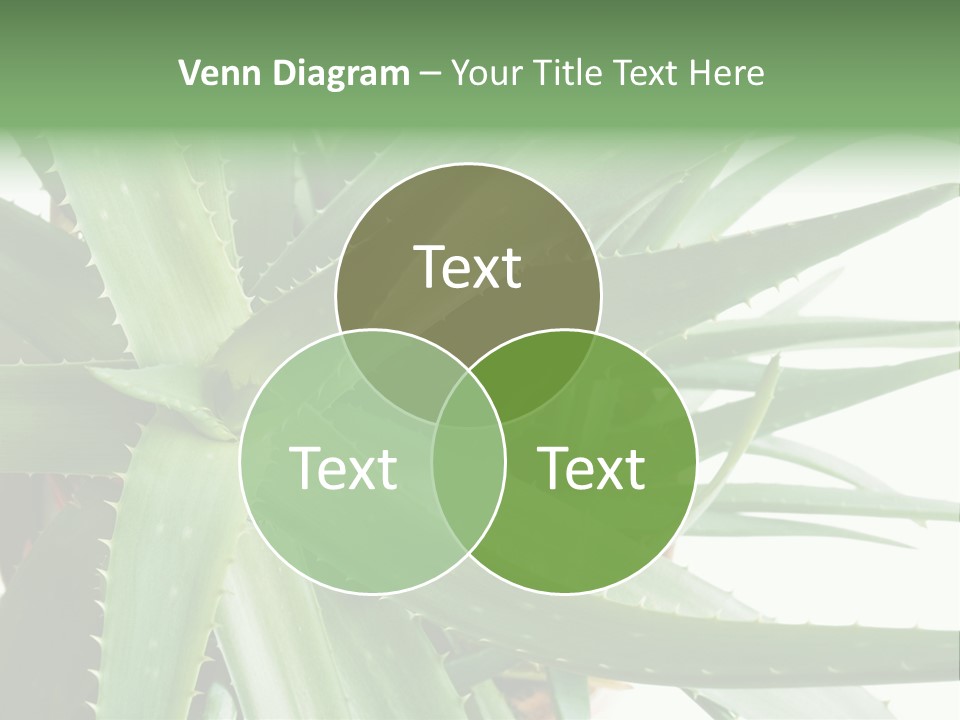 Amusing Farcical Executive PowerPoint Template