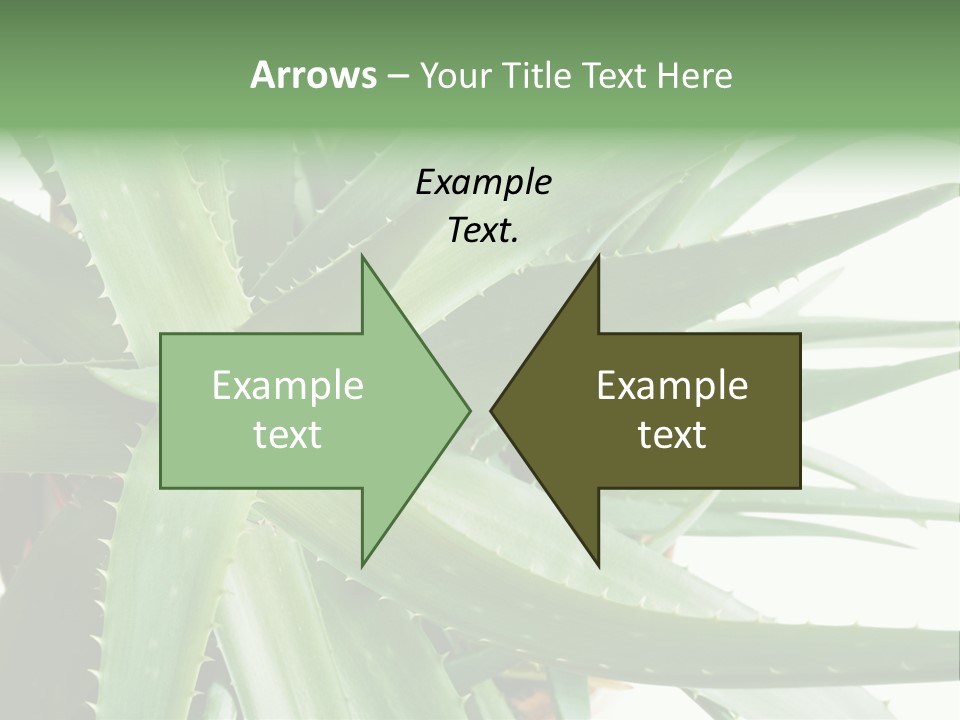 Amusing Farcical Executive PowerPoint Template