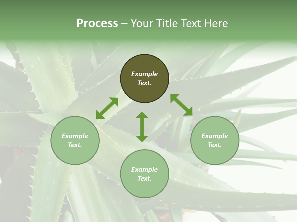 Amusing Farcical Executive PowerPoint Template