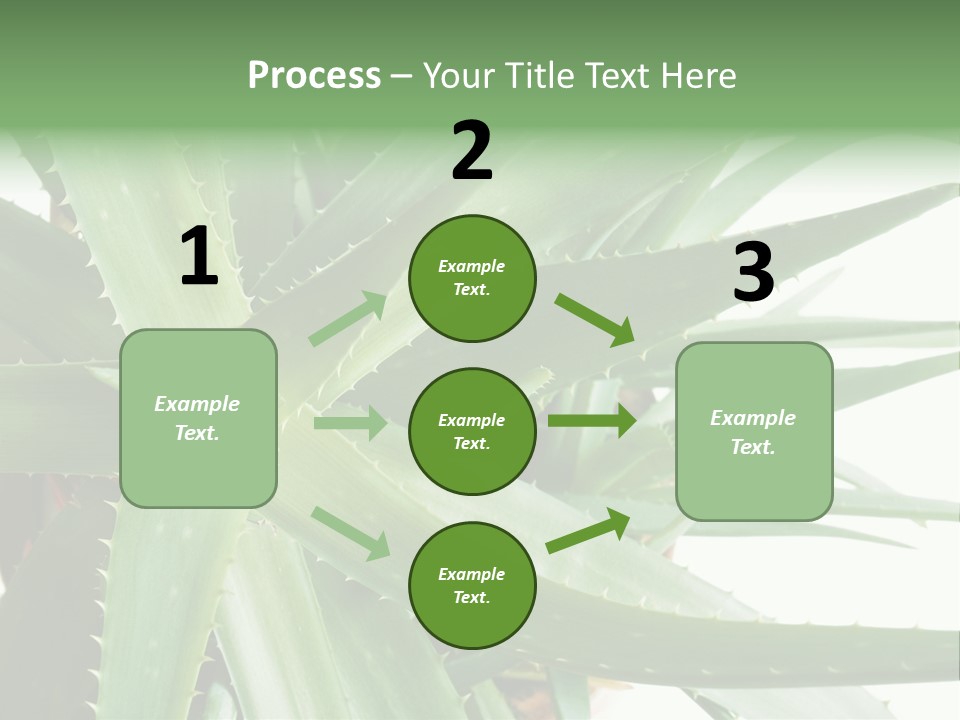 Amusing Farcical Executive PowerPoint Template