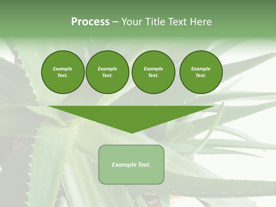 Amusing Farcical Executive PowerPoint Template