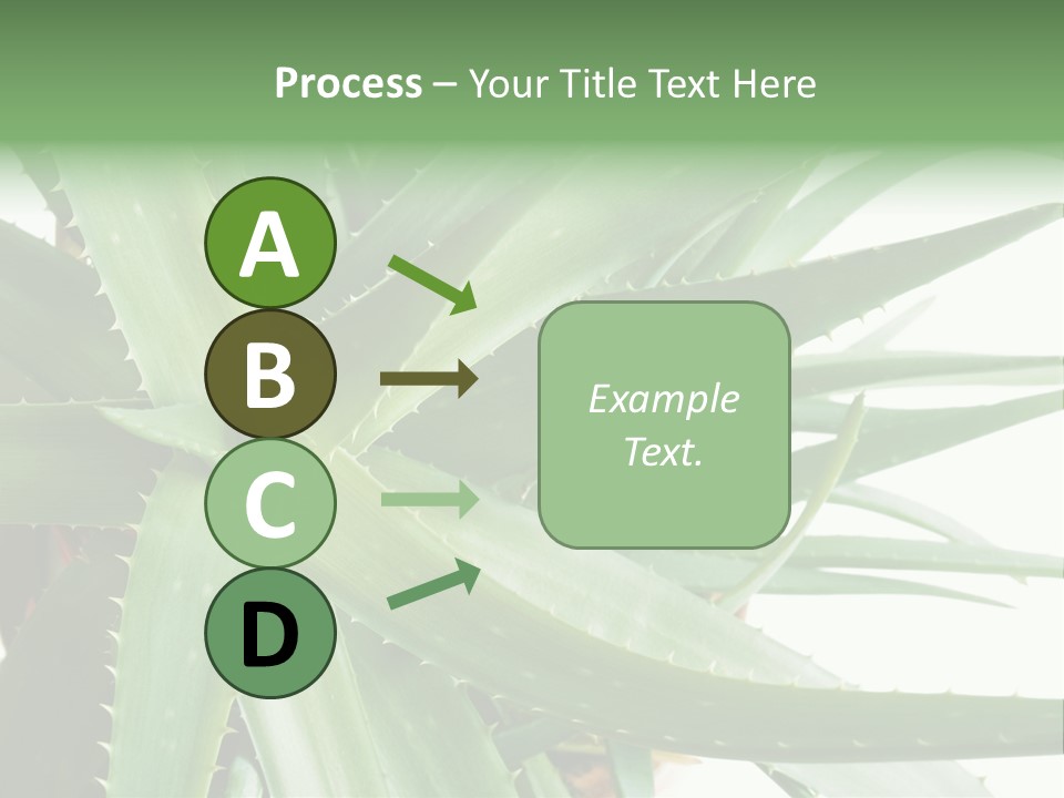Amusing Farcical Executive PowerPoint Template