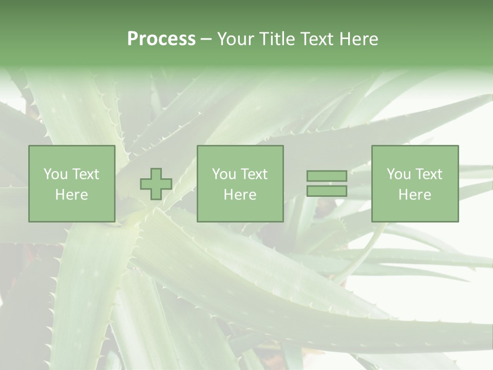 Amusing Farcical Executive PowerPoint Template