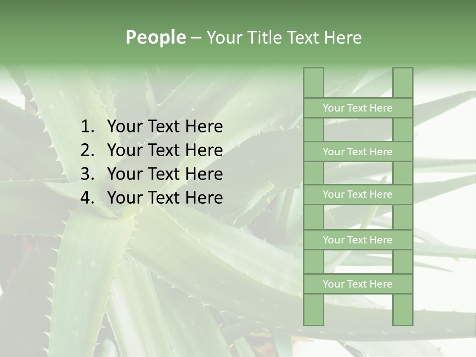 Amusing Farcical Executive PowerPoint Template