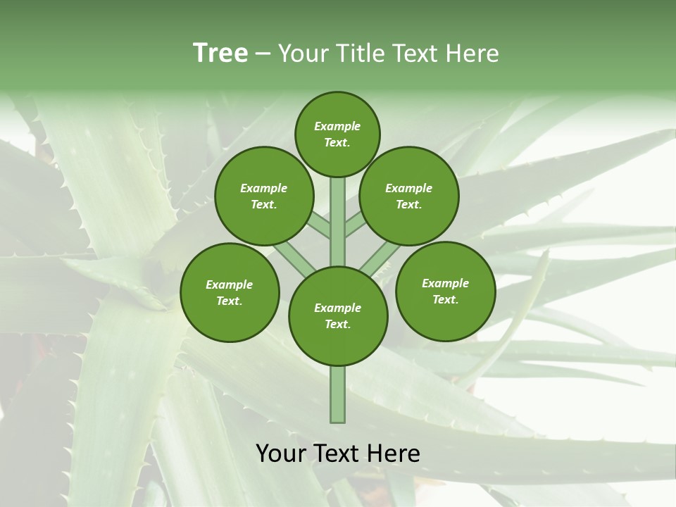 Amusing Farcical Executive PowerPoint Template