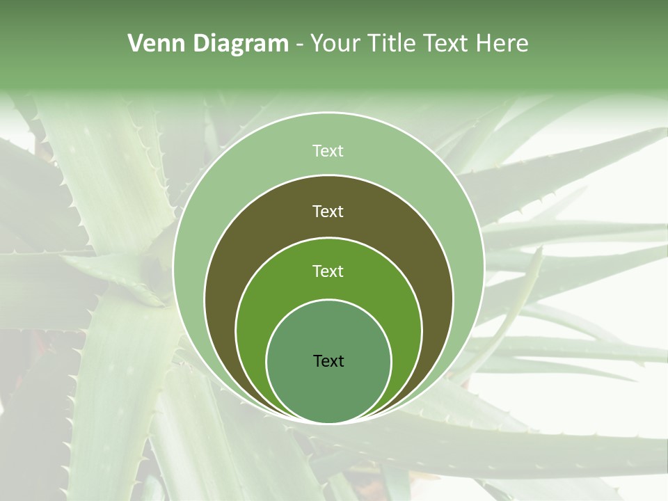 Amusing Farcical Executive PowerPoint Template