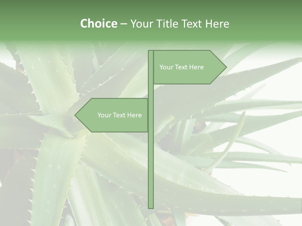 Amusing Farcical Executive PowerPoint Template