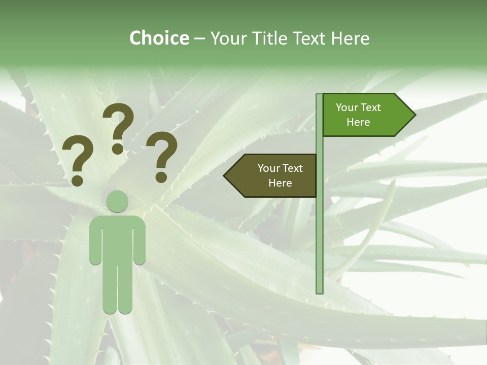 Amusing Farcical Executive PowerPoint Template