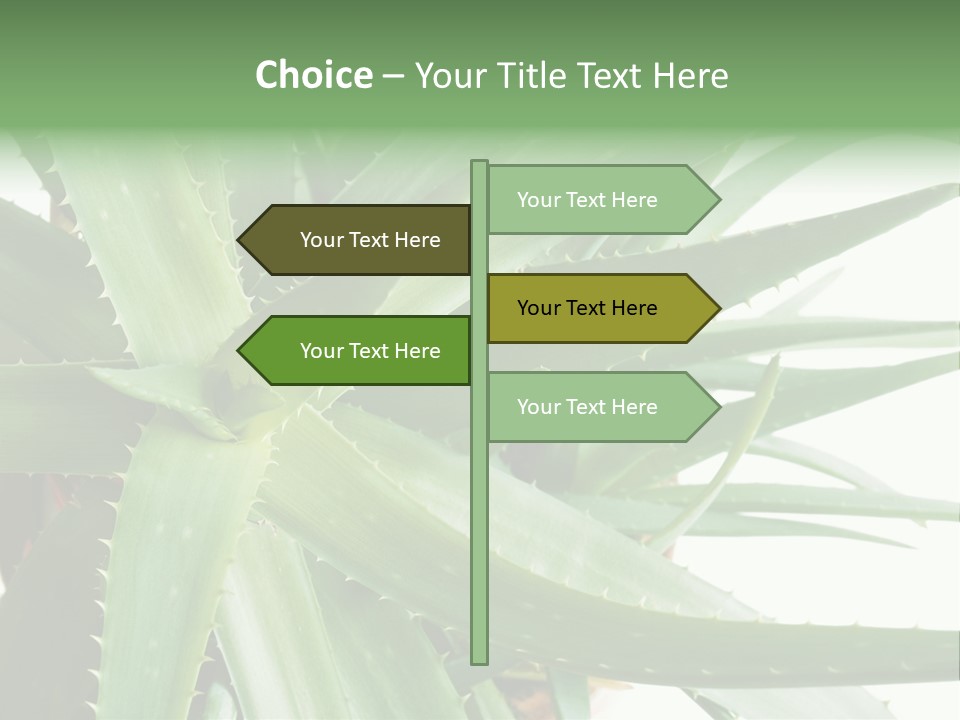 Amusing Farcical Executive PowerPoint Template