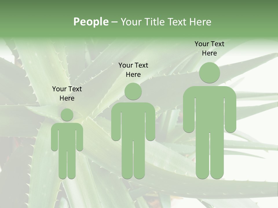 Amusing Farcical Executive PowerPoint Template