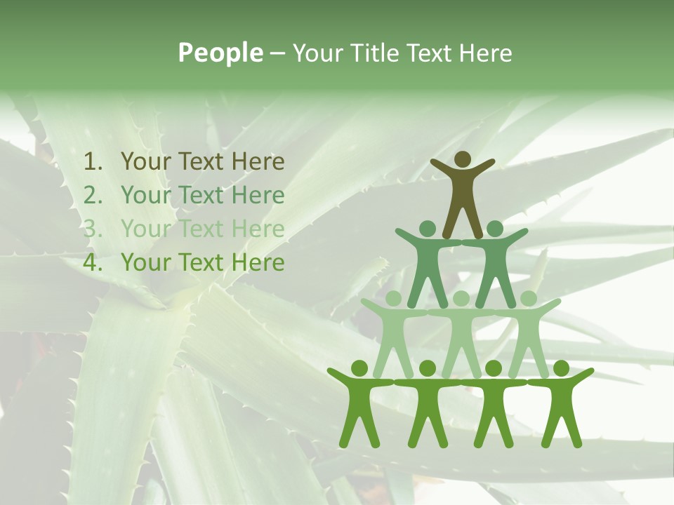 Amusing Farcical Executive PowerPoint Template