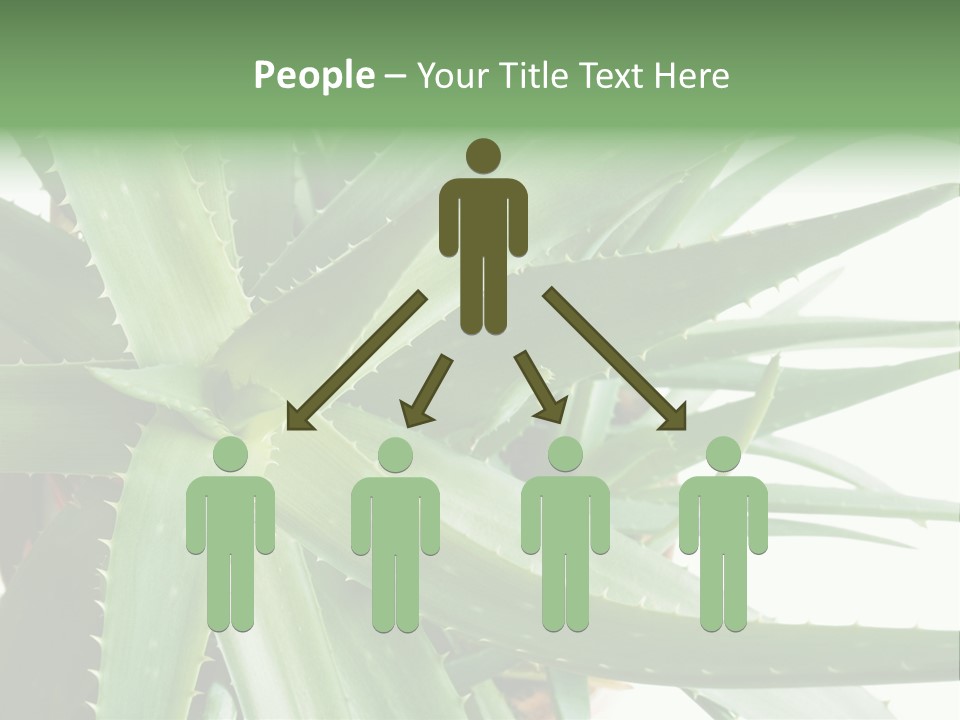 Amusing Farcical Executive PowerPoint Template