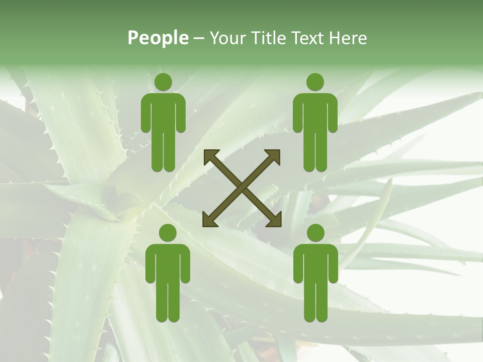 Amusing Farcical Executive PowerPoint Template