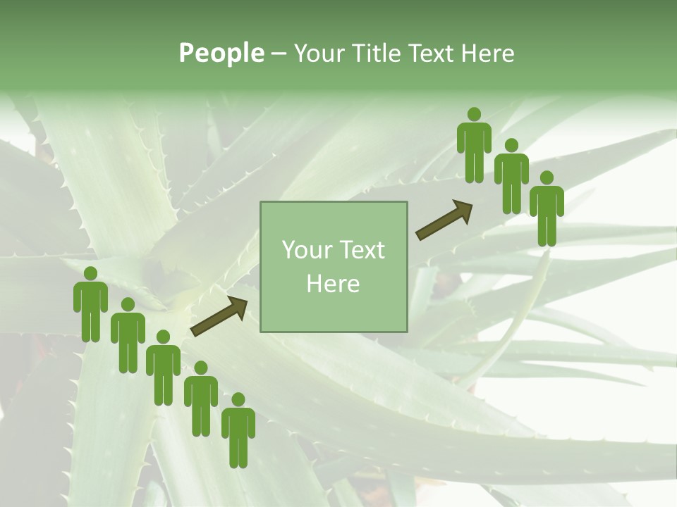 Amusing Farcical Executive PowerPoint Template