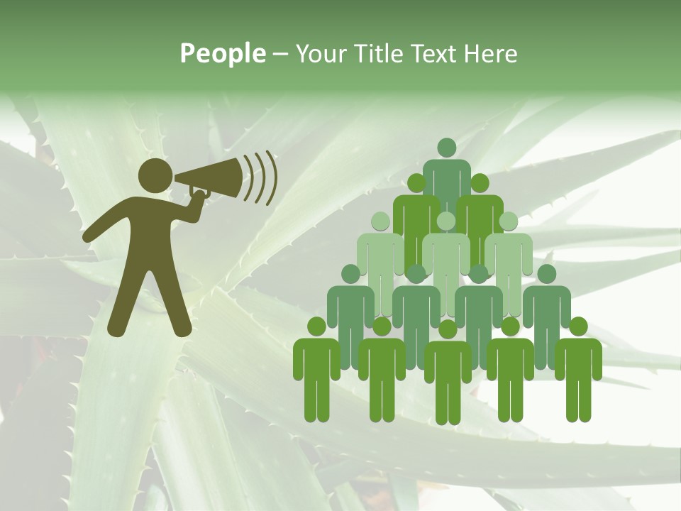 Amusing Farcical Executive PowerPoint Template