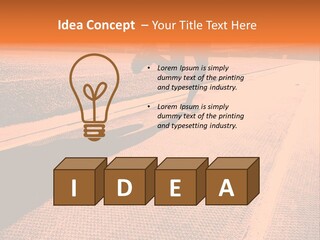 Sparkle Handsome Joy PowerPoint Template