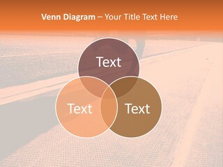 Sparkle Handsome Joy PowerPoint Template