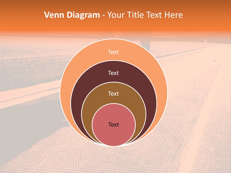 Sparkle Handsome Joy PowerPoint Template