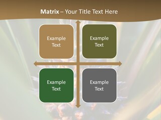 Fruit Produce Rwanda PowerPoint Template