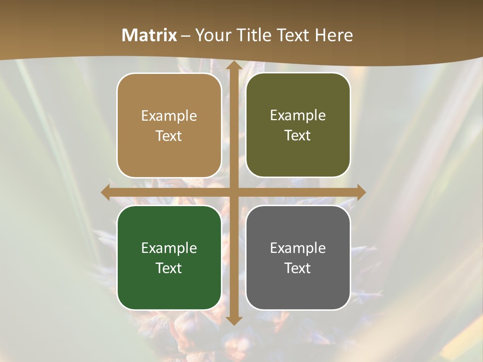 Fruit Produce Rwanda PowerPoint Template