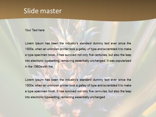 Fruit Produce Rwanda PowerPoint Template