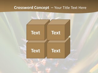 Fruit Produce Rwanda PowerPoint Template