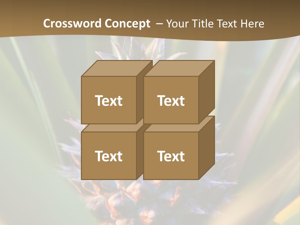 Fruit Produce Rwanda PowerPoint Template