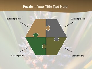 Fruit Produce Rwanda PowerPoint Template