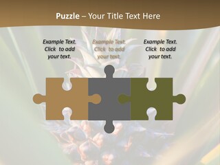 Fruit Produce Rwanda PowerPoint Template