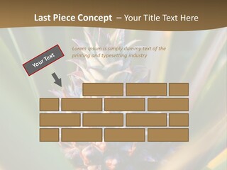 Fruit Produce Rwanda PowerPoint Template