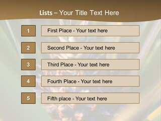 Fruit Produce Rwanda PowerPoint Template