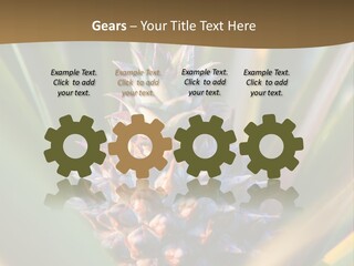 Fruit Produce Rwanda PowerPoint Template