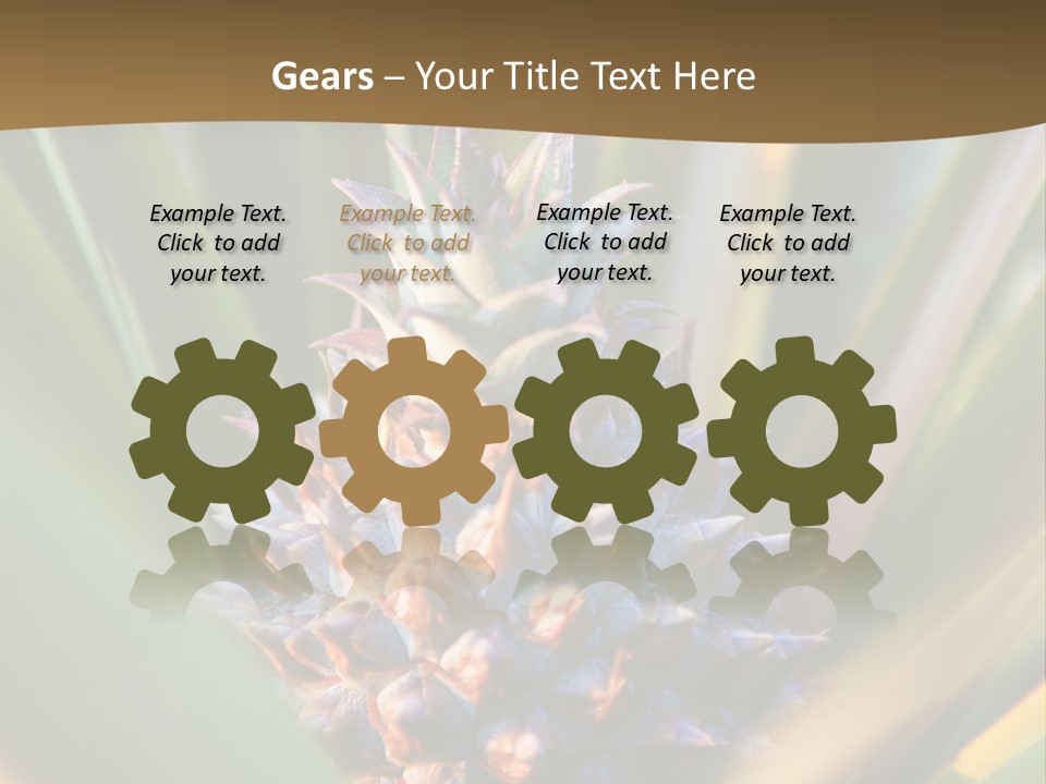 Fruit Produce Rwanda PowerPoint Template