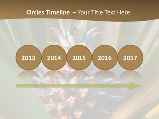 Fruit Produce Rwanda PowerPoint Template