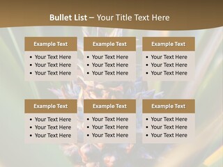 Fruit Produce Rwanda PowerPoint Template