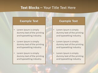 Fruit Produce Rwanda PowerPoint Template