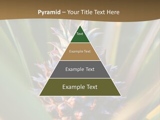 Fruit Produce Rwanda PowerPoint Template