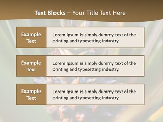 Fruit Produce Rwanda PowerPoint Template